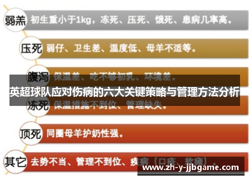 英超球队应对伤病的六大关键策略与管理方法分析 英超球队应对伤病的六大关键策略与管理方法分析