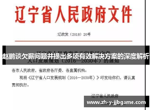 赵鹏谈欠薪问题并提出多项有效解决方案的深度解析
