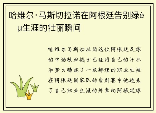 哈维尔·马斯切拉诺在阿根廷告别绿茵生涯的壮丽瞬间